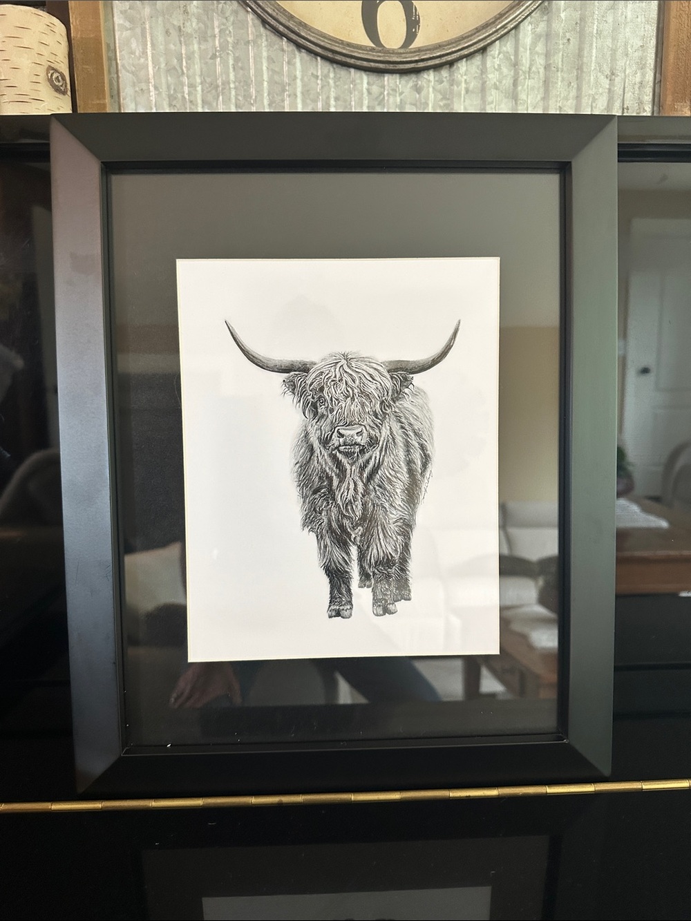 Highland cow picture